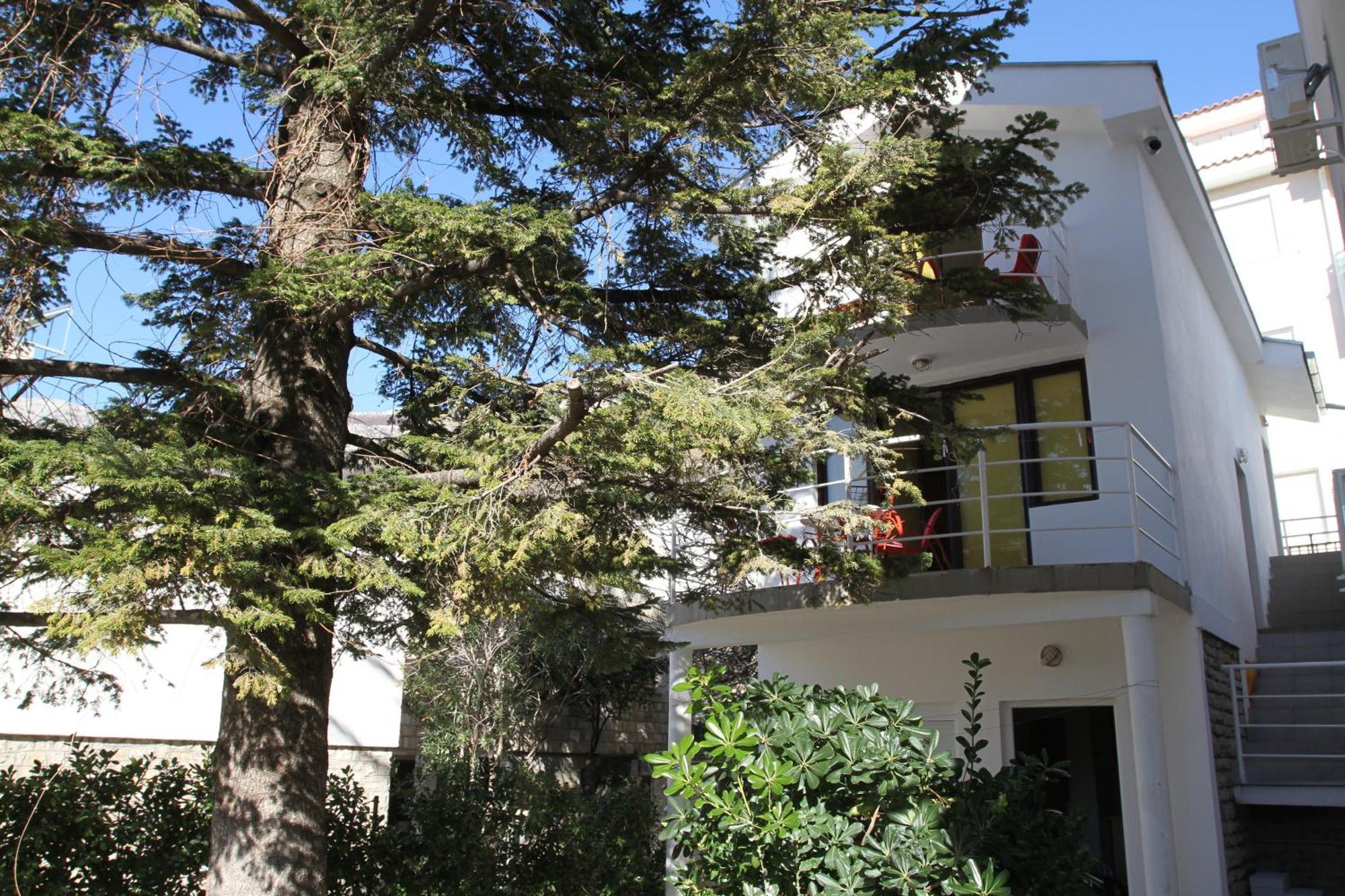 Apartments Popovic Petrovac Exterior foto